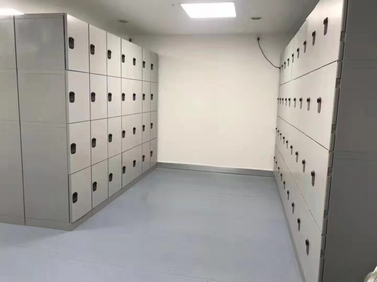 fv2z